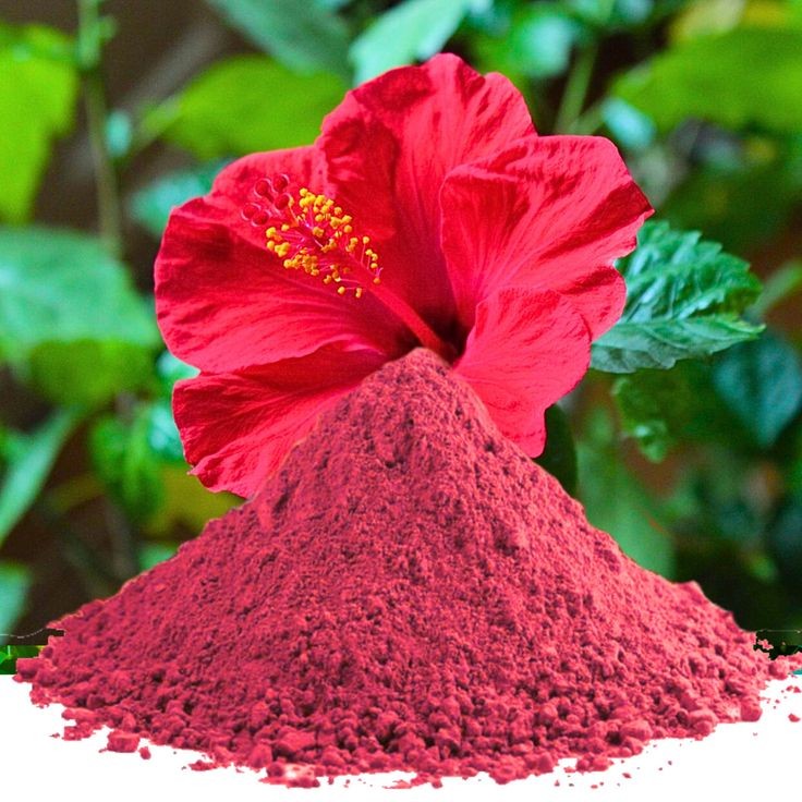 Hibiscus Flower powder (50gm)