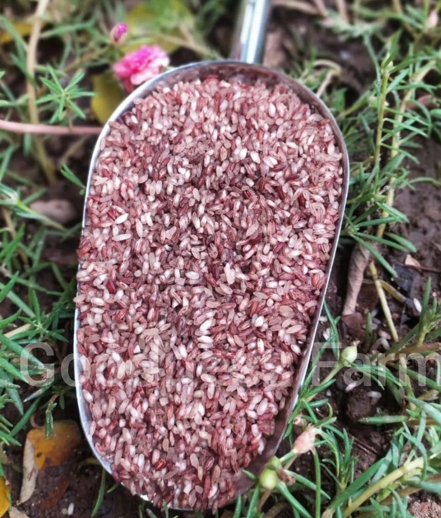Poongar Rice (500gm)
