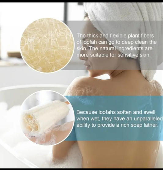 Body Brush Loofah