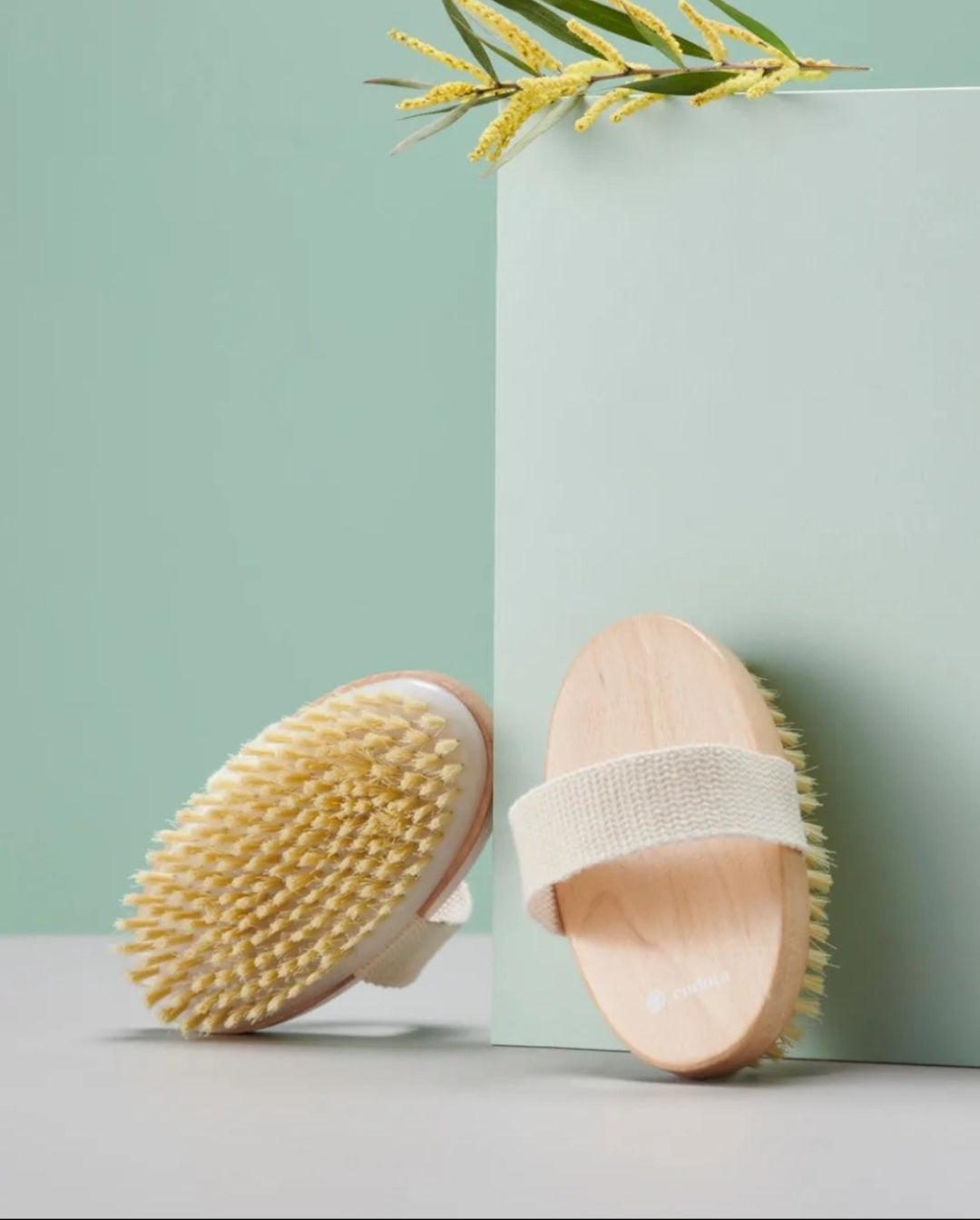 Wooden Body Dry Scrubber
